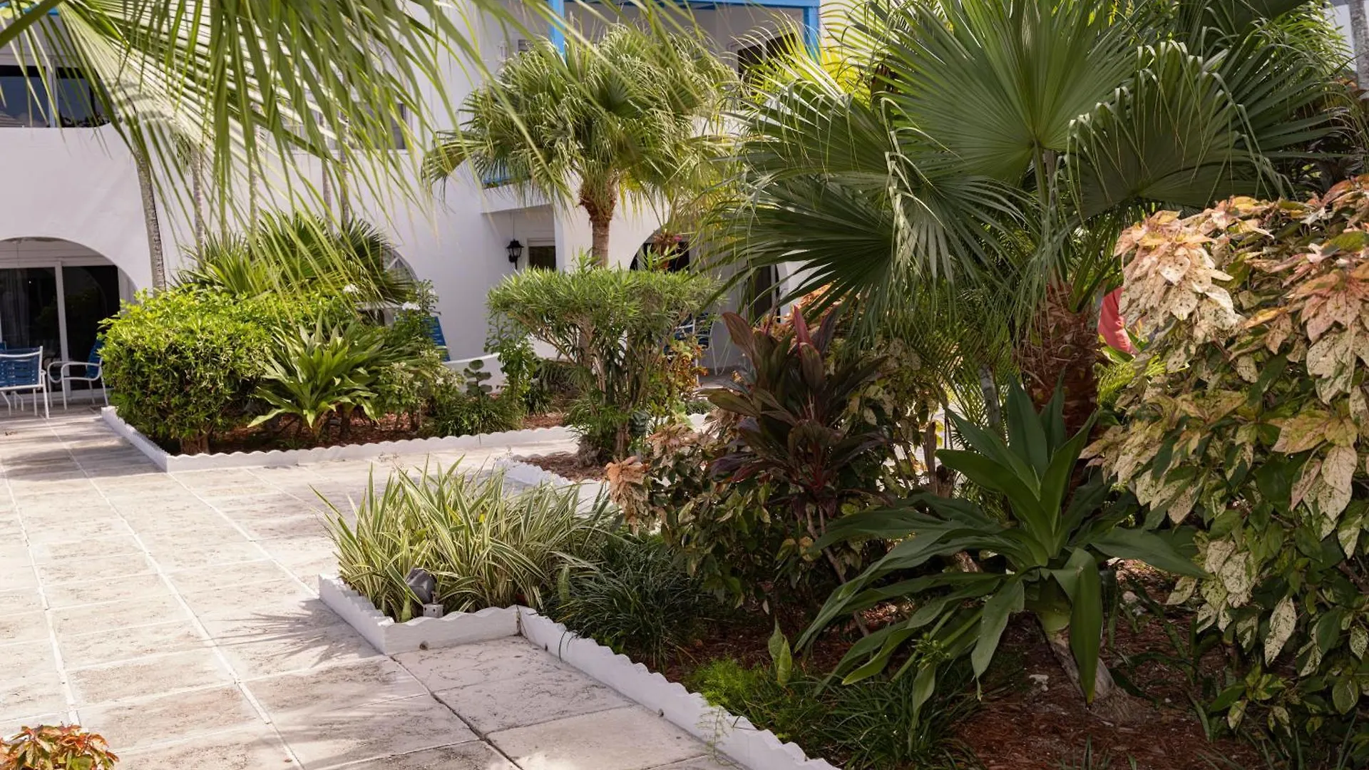 Paradise Island Beach Club Ocean View Villas Bahamas